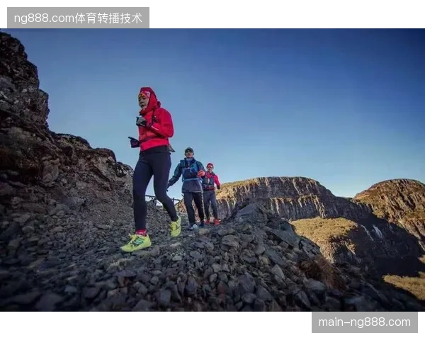 为何观赛流量持续攀升而定制化体育旅游产品的预订率却持续低迷？